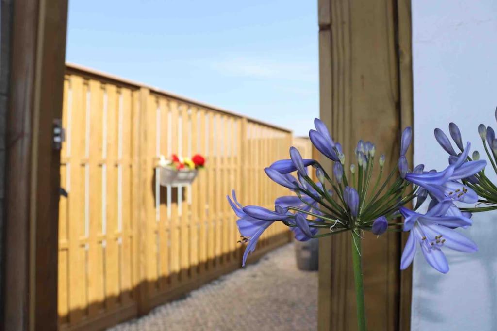 St Agnes Perfect Location, Hot Tub, Sea Views, Gym公寓 外观 照片
