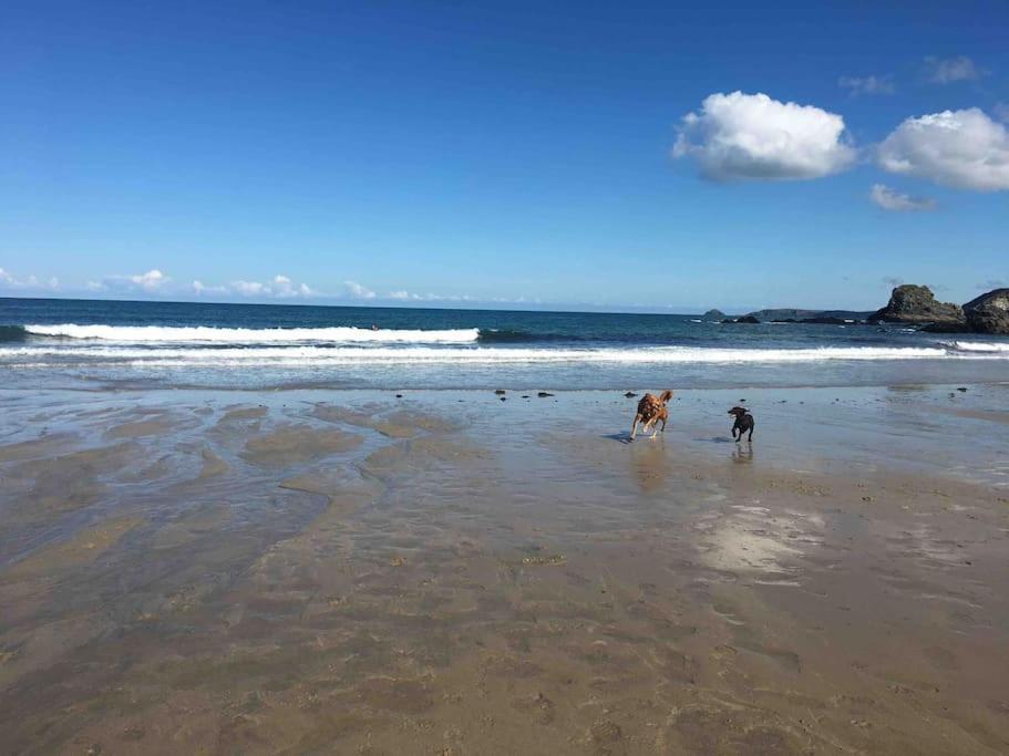St Agnes Perfect Location, Hot Tub, Sea Views, Gym公寓 外观 照片